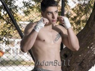 AdamBull