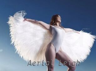Aerial_Leigh Livestrip Cams