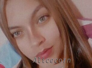 Alicecorn