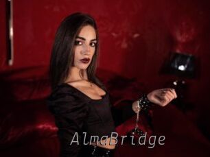 AlmaBridge Livestrip Cams
