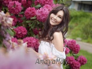 AmayaMay