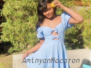 AminyanMacaron