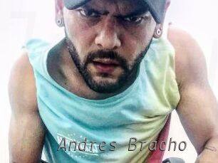 Andres_Bracho