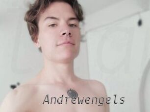 Andrewengels Livestrip Cams