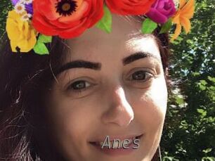 Anes