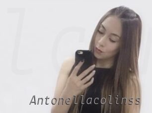 Antonellacolinss