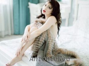 AntoniaRed Livestrip Cams
