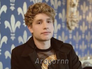 Aragornn Livestrip Cams