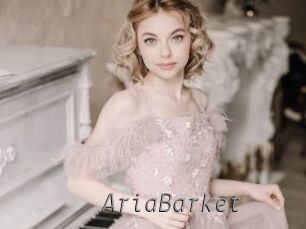 AriaBarket Livestrip Cams