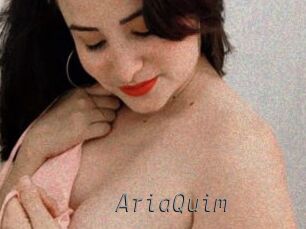 AriaQuim