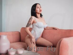Asian_Fly