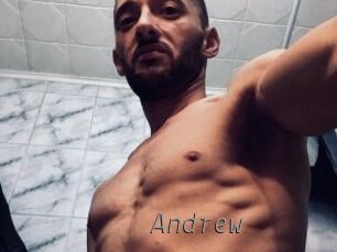 _Andrew Livestrip Cams