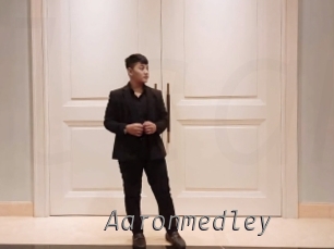 aaronmedley Livestrip Cams