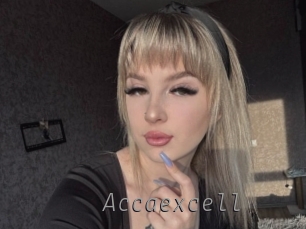 Accaexcell