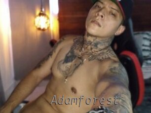 Adamforest