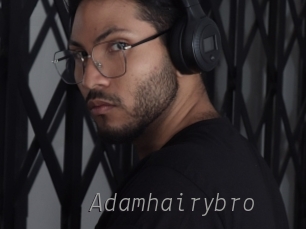 adamhairybro Livestrip Cams