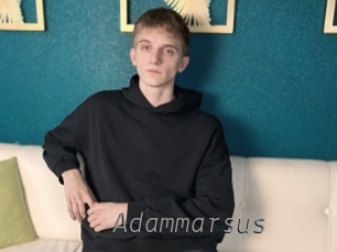 adammarsus Livestrip Cams