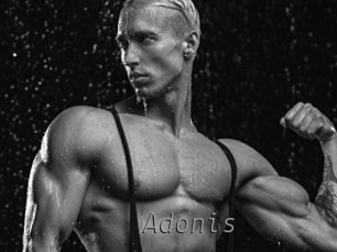 adonis_ Livestrip Cams