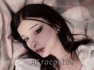 afracatlow Livestrip Cams