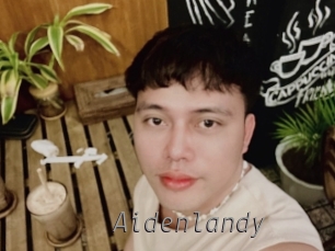 Aidenlandy