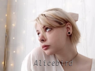 Alicebird