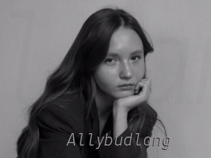 Allybudlong