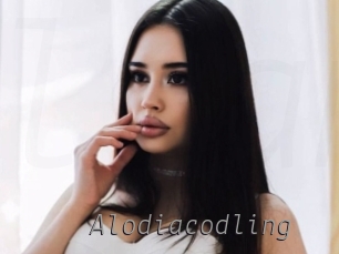 Alodiacodling