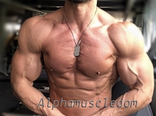 alphamuscledom Livestrip Cams