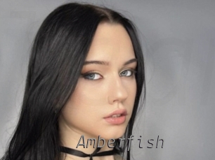 amberfish Livestrip Cams