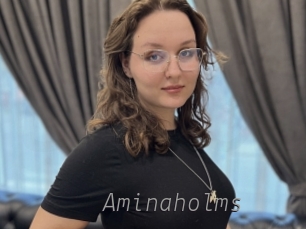 Aminaholms