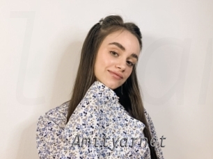 Amityarnet