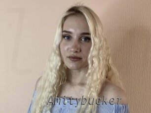 Amitybucker