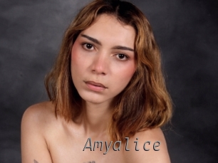 amyalice Livestrip Cams