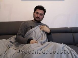 Anacondaaugusto