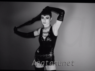 anatamunet Livestrip Cams