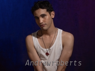 andrewroberts Livestrip Cams