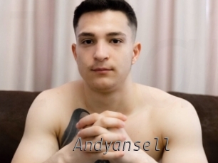 andyansell Livestrip Cams