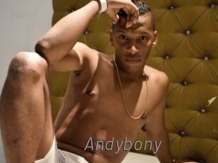 Andybony