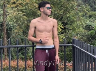 Andylukee