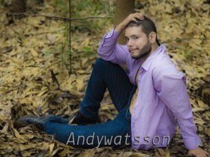 Andywatsson