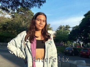 Aniefelix