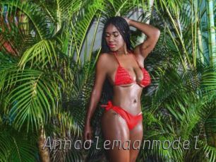 Anncolemaanmodel