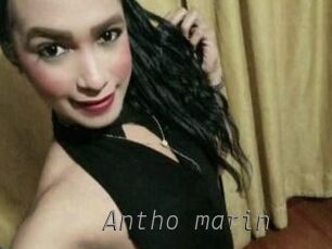 Antho_marin