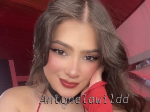 Antonelawildd