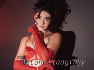 Antonellaagrayy
