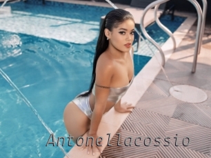 antonellacossio Livestrip Cams