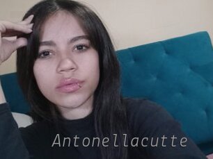 antonellacutte Livestrip Cams