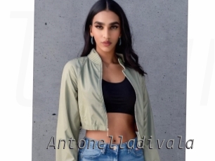 Antonelladivala
