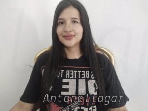 Antonellagar
