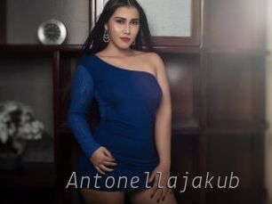 Antonellajakub